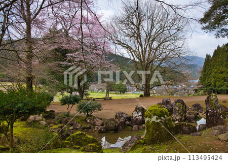 さくら満開の一乗谷朝倉氏遺跡 さくら満開の一乗谷朝倉氏遺跡 113495424