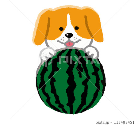 スイカと犬 スイカと犬 113495451