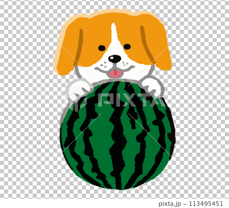 スイカと犬 スイカと犬 113495451