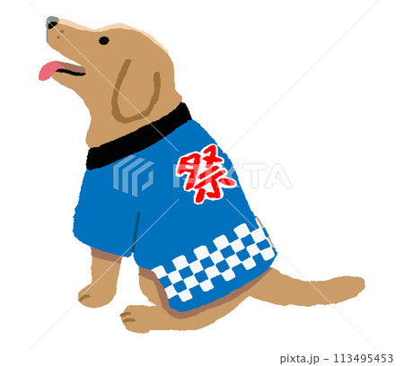 法被を着た犬 法被を着た犬 113495453