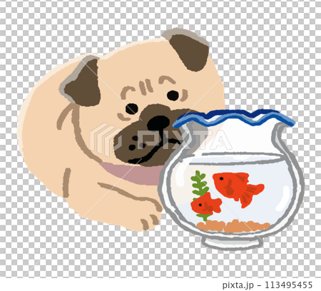 哈巴狗和金魚 哈巴狗和金魚 113495455