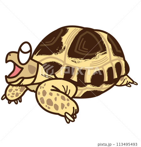 あくびをするロシアリクガメ 113495493