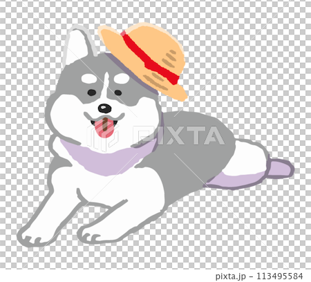 麦わら帽子をかぶったシベリアンハスキー 113495584