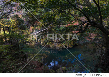 東京奥多摩の秋　紅葉の氷川渓谷 113495769