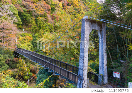 東京奥多摩の秋 紅葉の氷川渓谷 もえぎ橋 東京奥多摩の秋 紅葉の氷川渓谷 もえぎ橋 113495776