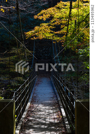 東京奥多摩の秋 紅葉の氷川渓谷 登計橋 東京奥多摩の秋 紅葉の氷川渓谷 登計橋 113495962