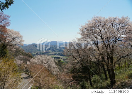 青空を背景に山桜の花が咲き誇る高峯平沢林道第二展望台より望む田園風景 113496100