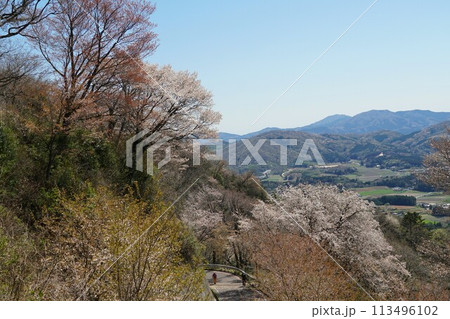 青空を背景に山桜の花が咲き誇る高峯平沢林道第二展望台より望む田園風景 113496102