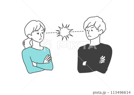 火花を散らして対立する若い夫婦、男女 113496614