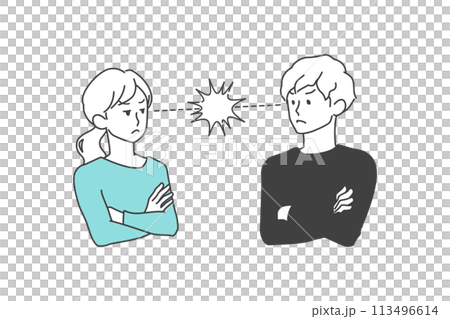 火花を散らして対立する若い夫婦、男女 113496614