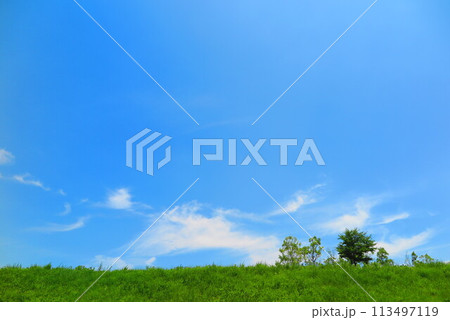 青い空、白い雲、緑の木、生い茂る草の丘の風景5 113497119