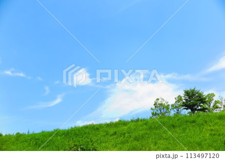 青い空、白い雲、緑の木、生い茂る草の丘の風景6 113497120