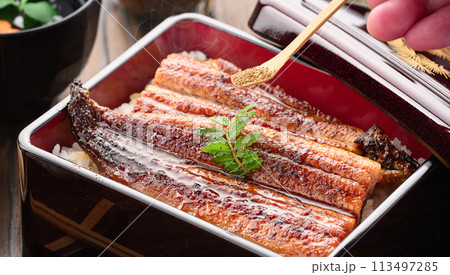 贅沢でスナミナ満点 うな重 113497285