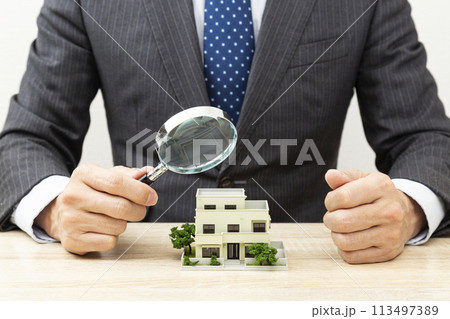 ルーペで住宅模型を見るビジネスマン 113497389