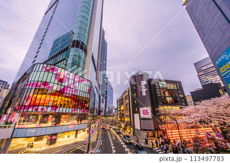 日本の東京都市景観 渋谷サクラステージSHIBUYAタワーやさくら坂の満開になった桜などを望む＝5日 113497783