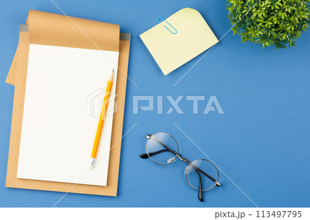 Notepad with pencil, glasses, plant and note sheet Notepad with pencil, glasses, plant and note sheet 113497795