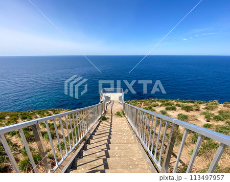 海と一体化できそうな展望台の絶景 海と一体化できそうな展望台の絶景 113497957