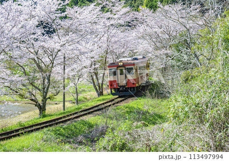 春の撮り鉄名所いすみ鉄道東総元 113497994