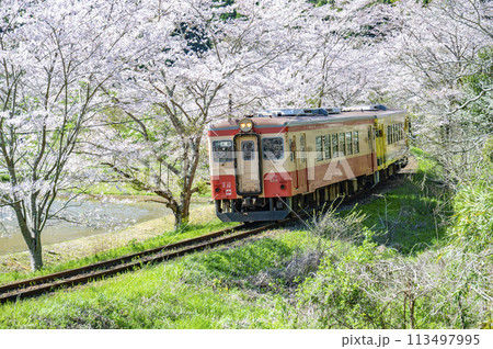 春の撮り鉄名所いすみ鉄道東総元 113497995