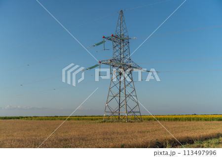 A tall power tower stands in a field of yellow flowers. The sky is clear and blue, and the tower is surrounded by a few wires. A tall power tower stands in a field of yellow flowers. The sky is clear and blue, and the tower is surrounded by a few wires. 113497996