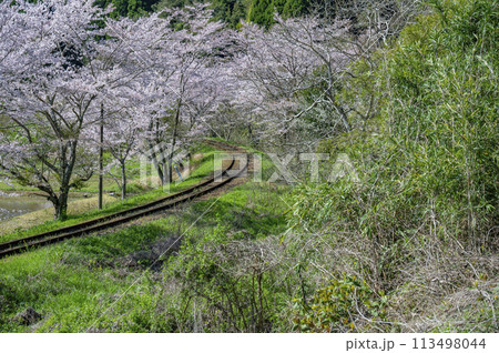 春の撮り鉄名所いすみ鉄道東総元 113498044
