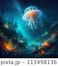 神秘的なクラゲ 113498136