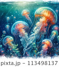 クラゲのいる風景 113498137