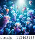 光に照らされるクラゲ 113498138