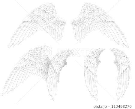 白い翼 平和 愛 天使 神 女神 113498270