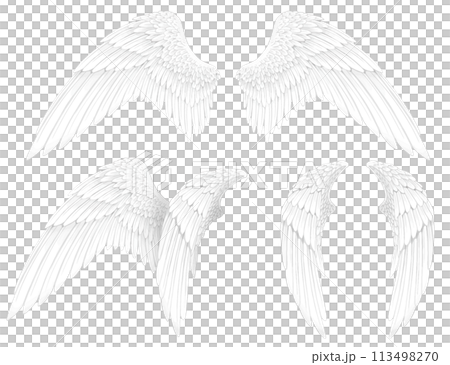白色翅膀和平愛天使神女神 113498270