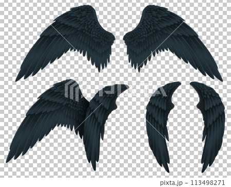 黒い翼 黒 悪魔 地獄 カラス ハロウィン 113498271