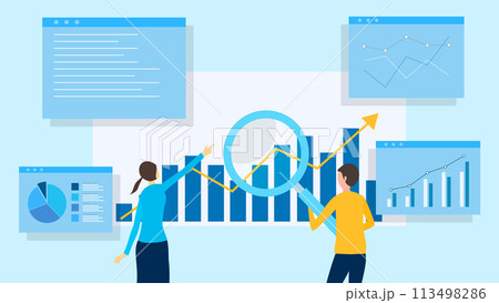 データ分析をするビジネスパーソン 113498286