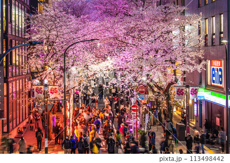 日本の東京都市景観 渋谷サクラステージSHIBUYAタワー前のさくら坂で、桜が満開に=4月5日 日本の東京都市景観 渋谷サクラステージSHIBUYAタワー前のさくら坂で、桜が満開に=4月5日 113498442