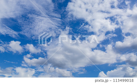青空に流れるたくさんの白い雲 青空に流れるたくさんの白い雲 113499018