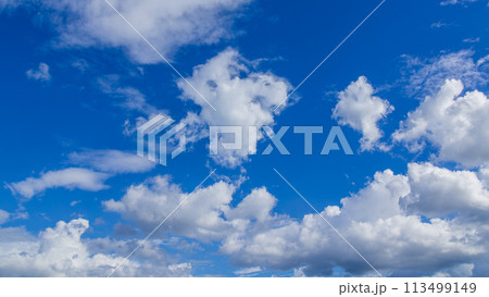 青空に流れるたくさんの白い雲 青空に流れるたくさんの白い雲 113499149