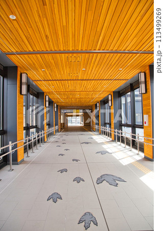 北陸新幹線あわら温泉駅 113499269