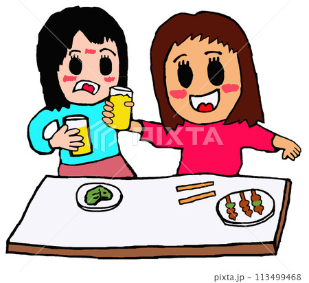 居酒屋で女子会をする女性 居酒屋で女子会をする女性 113499468