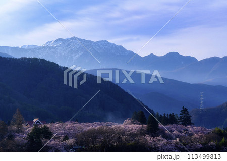 高遠城址公園と仙丈ヶ岳 113499813