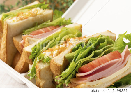 サンドイッチ　サンドイッチ弁当 113499821