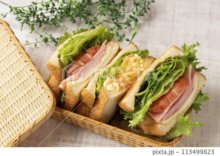 サンドイッチ　サンドイッチ弁当 113499823