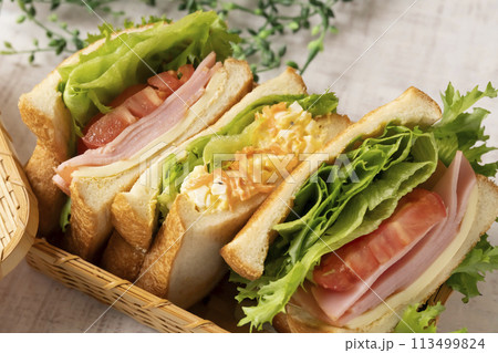 サンドイッチ　サンドイッチ弁当 113499824