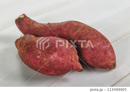 Raw red batat for cooking 113499905