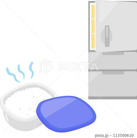 冷蔵庫から出した冷ご飯 113500610