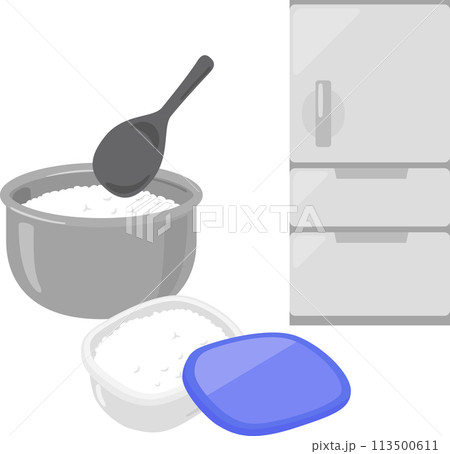 保存容器に入れたご飯と冷蔵庫、冷ご飯 113500611