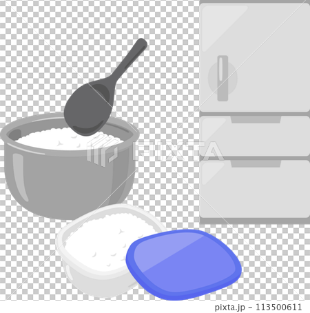 保存容器に入れたご飯と冷蔵庫、冷ご飯 113500611