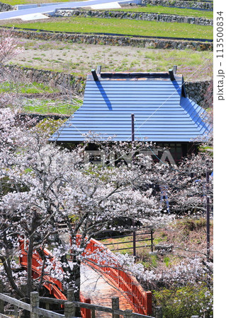 「春の桜と赤い橋」　山梨県ほたるみ橋公園 113500834