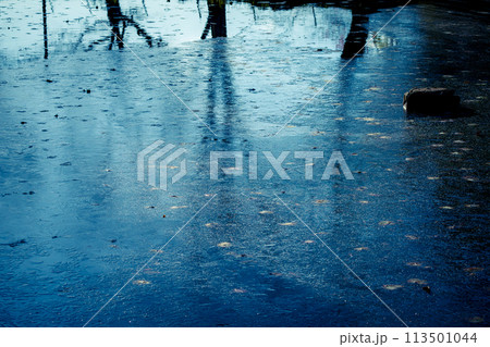 京都市西京区大原野神社の鯉沢の池が凍った冬景色を撮影 113501044