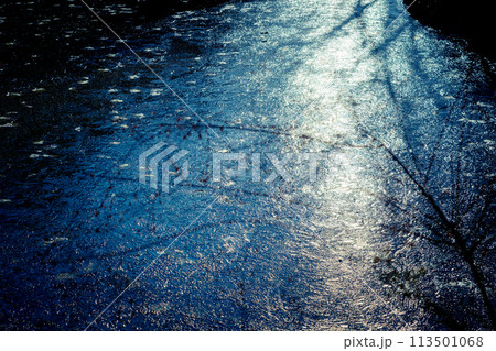 京都市西京区大原野神社の鯉沢の池が凍った冬景色を撮影 113501068