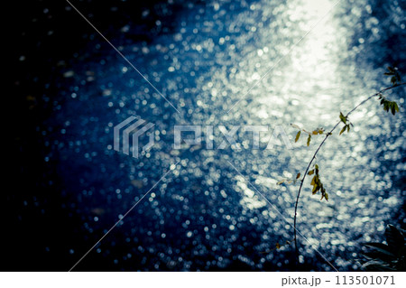 京都市西京区大原野神社の鯉沢の池が凍った冬景色を撮影 113501071