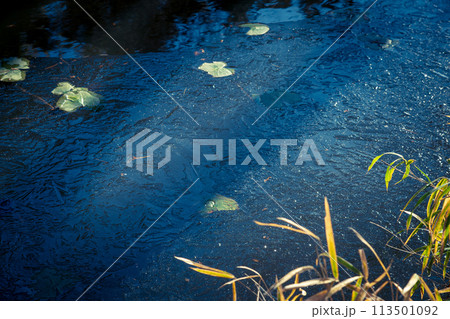 京都市西京区大原野神社の鯉沢の池が凍った冬景色を撮影 113501092